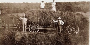Making hay on the old farm