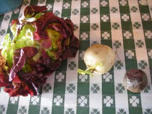 Lettuce turnip the beet