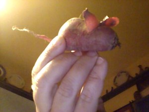 radish