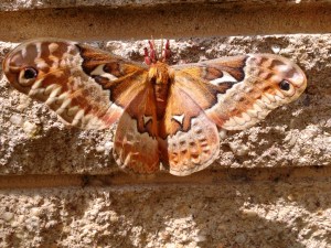 IMG_20160530_140046294