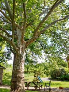 IMG_20160530_111216199_HDR