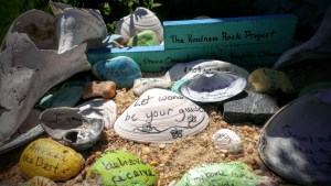 kindness rock