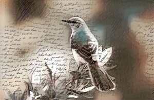 mockingbird