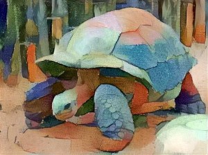 tortoise