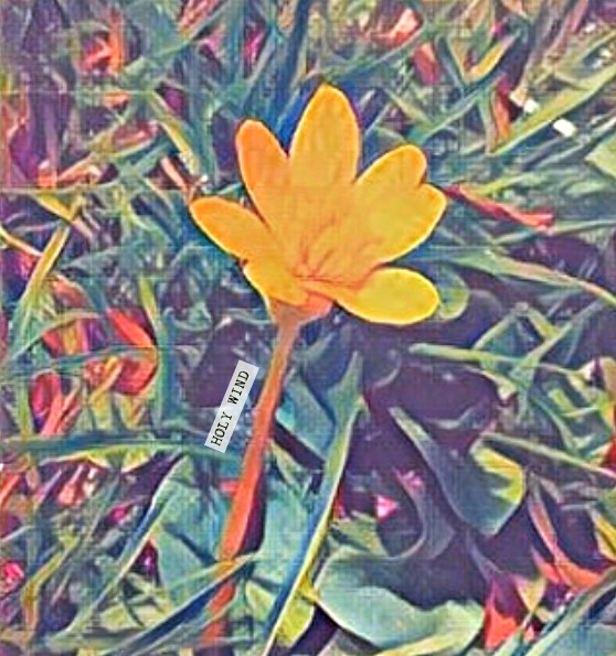 Screenshot2018-04-20at8.41.36PM