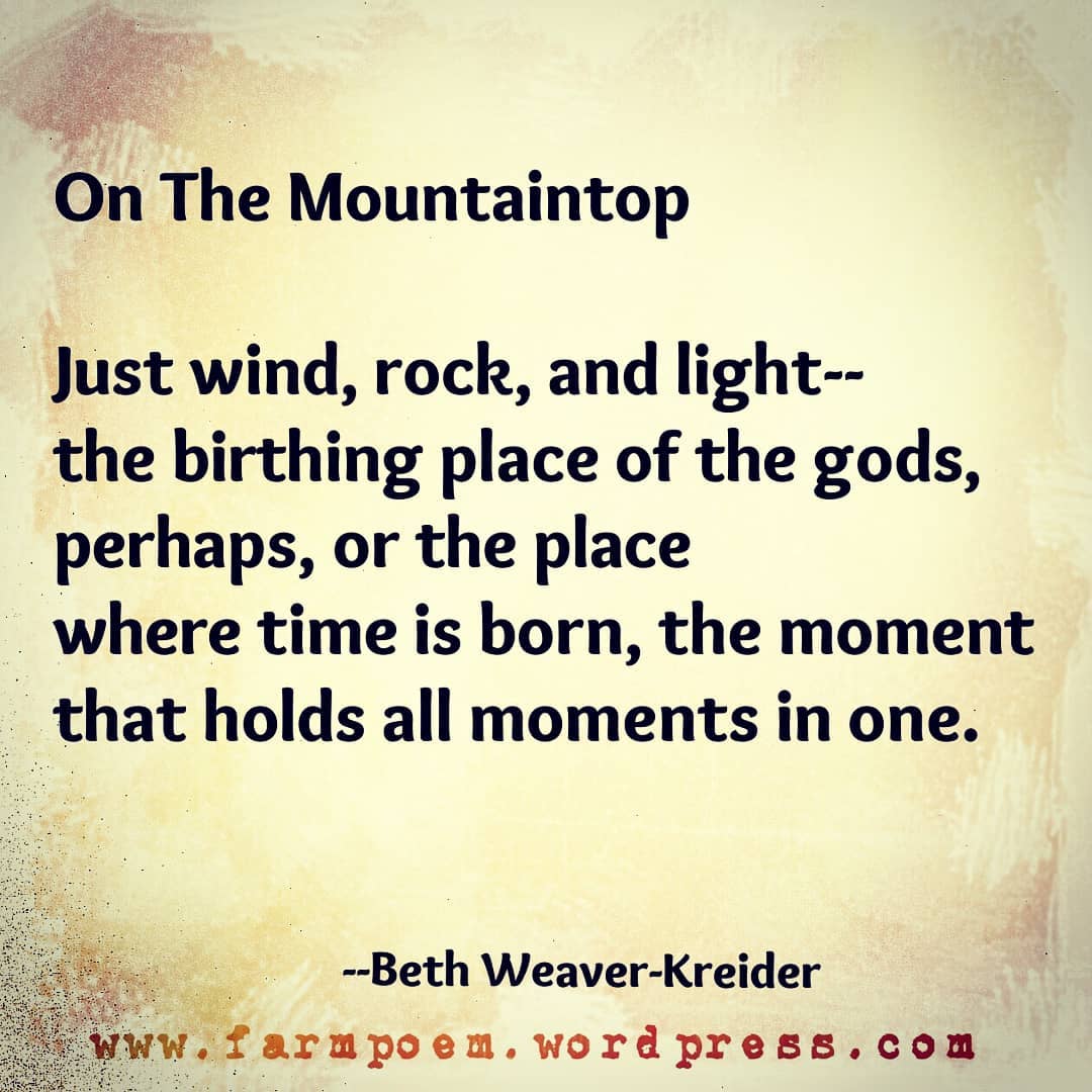 42068733_360534797822346_7202145227302807350_n(1)